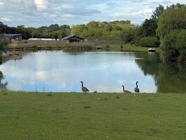 The lake