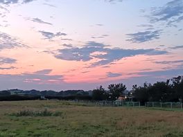 Peaceful view
