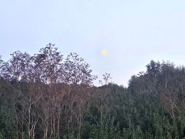 Evening walk around the campsite.