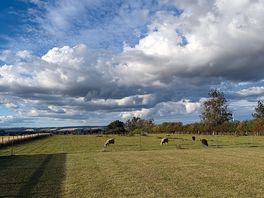 Lovely views