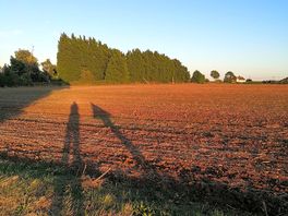 A nearby walk in some fields at sunset