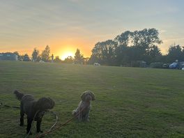 8.30pm