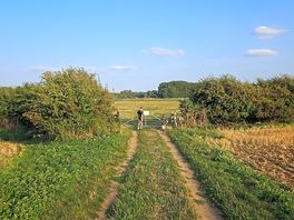 Footpath
