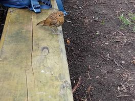 Made new friends
