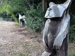 Some of the locals