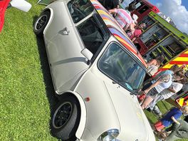 Vintage car show