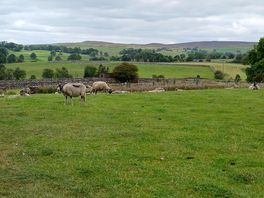 A view across the road.