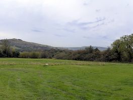 Pano!
