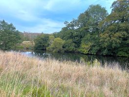 The river