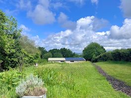 View from the yurt.