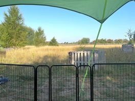 Day view