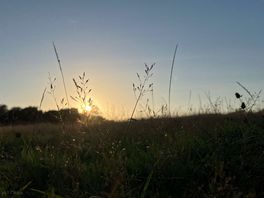 Sunsets