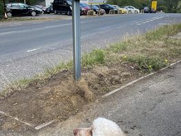 The bus stop.