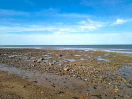 Local beach
