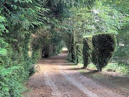 Walking path leading to a waterfall