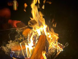 Marshmallows on camp fire