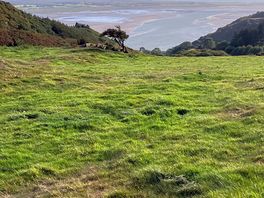 Views from site