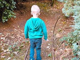 Secret rail track