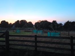Sunset from the dog walking field