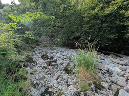 Stream close by