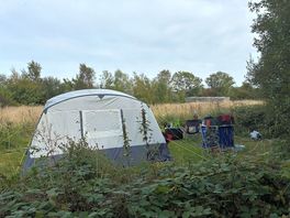 Back of tent near hammock