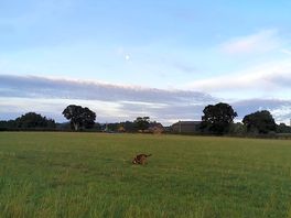 Plenty of walking options directly from site.