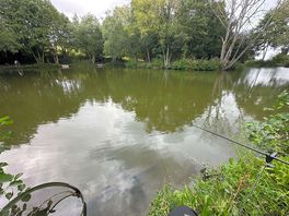 Another peg