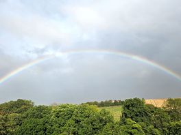 Over the site