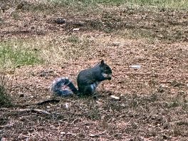 Wildlife 😂