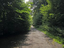Path to river and nature wall