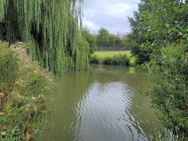 One of the lakes