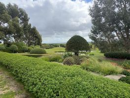 Beautiful gardens