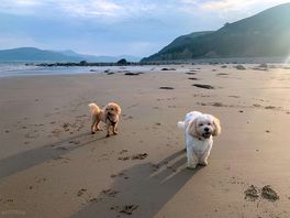 Early morning beach walk - 5 mins max from the site