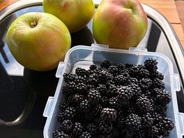 Cooking apples & wild blackberries