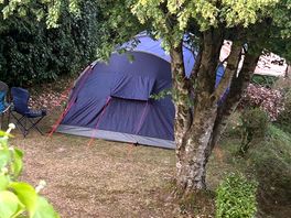 Tent pitch - lovely and shady
