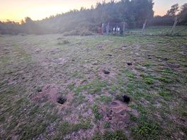 Evening walk around the campsite.