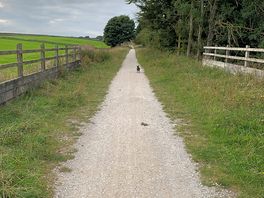 On the tissington trail