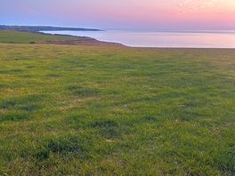 Beautiful view