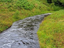 River in the valley