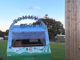 Tommys hen house