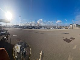 The harbour
