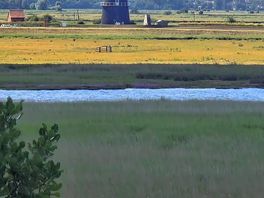 Windmill