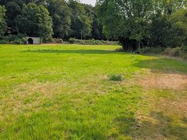 Dog field