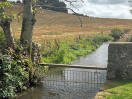 Beautiful river on site