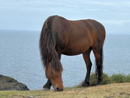 On one of the walks, boscastle