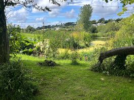 Pond