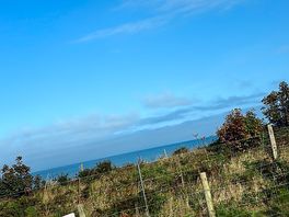Beautiful views from our pitch