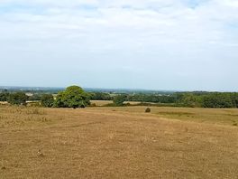 Camping field