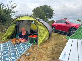 Tent set up at the tree horseshoes