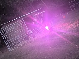 Lovely lighting around the campsite.